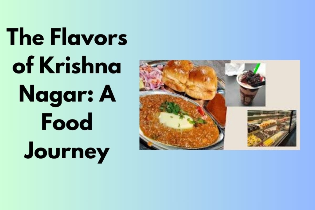 The Flavors of Krishna Nagar: A Food Journey